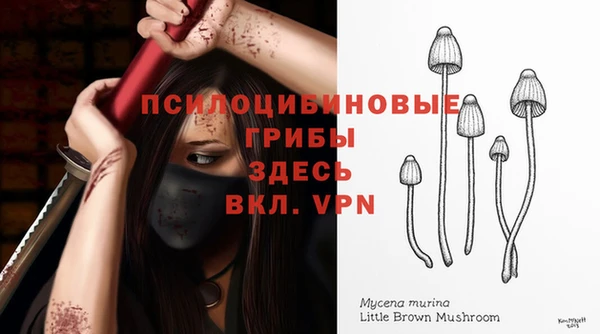 mdpv Волоколамск