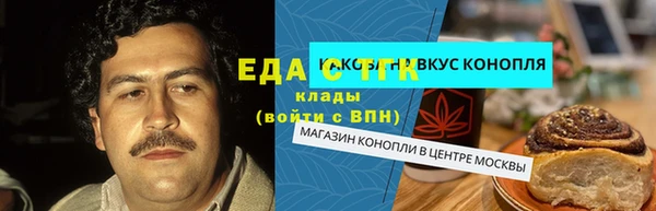 индика Володарск