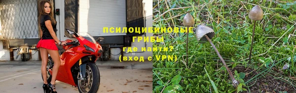 ALPHA PVP Волосово