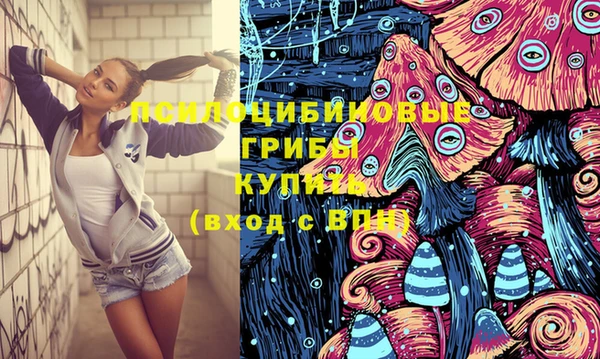 индика Володарск