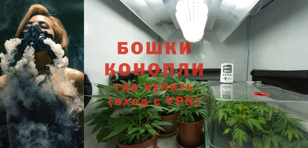 дживик Верея