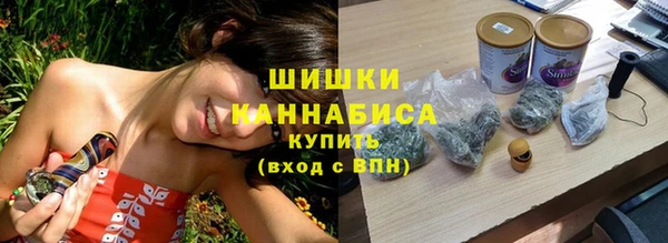 дживик Верея